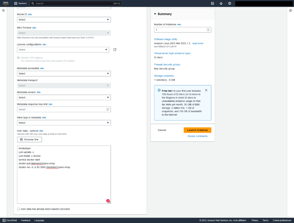 A screenshot showing some of the settings for a new AWS EC2 instance.  In particular, this screenshot shows the commands to be run when the instance launches.